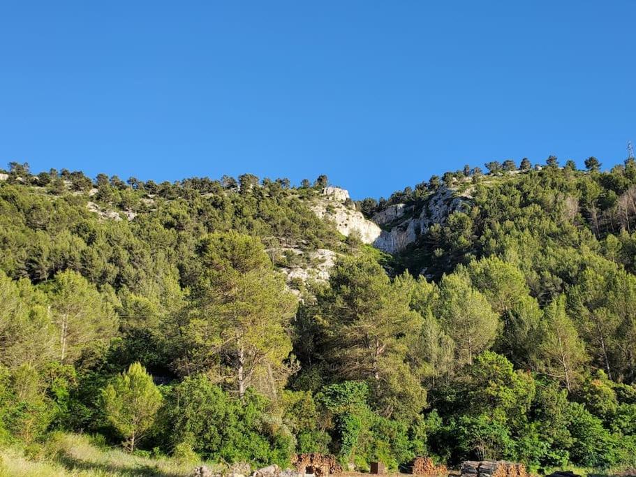 Les Prairies De Fenestrelle Spa & Piscine Au Calme Aubagne Exteriör bild