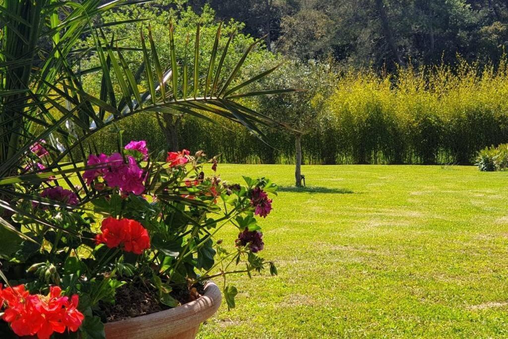 Les Prairies De Fenestrelle Spa & Piscine Au Calme Aubagne Exteriör bild