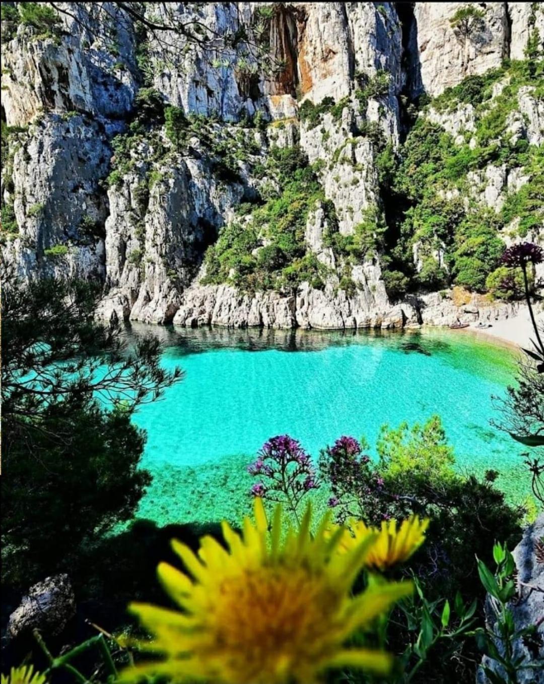Les Prairies De Fenestrelle Spa & Piscine Au Calme Aubagne Exteriör bild